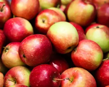 7 AI Products Apple’s Next CEO Needs to Launch Now