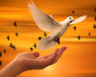 DeepSeek Arrives: Near State-of-the-Art AI at 1/6th the Cost