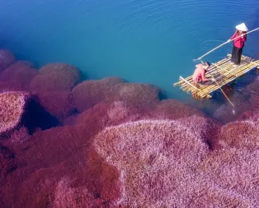 BYD Off-Road Brand Debuts 5 Stunning New EV Models