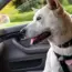 GitHub Copilot Moving to Usage-Based Billing: 5 Key Impacts