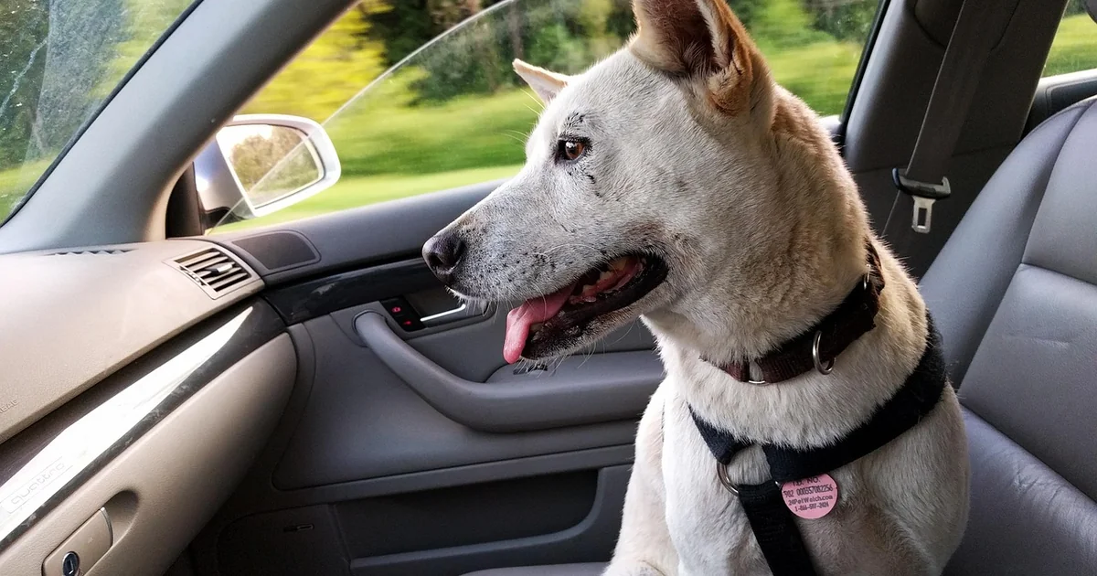 github copilot billing