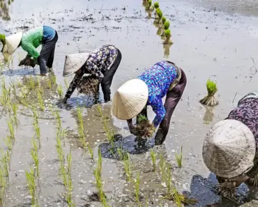 7 Breakthroughs: Testing Brain Implants for Depression