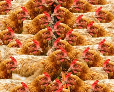 CATL Says Sodium Batteries Are Ready for Mainstream Use