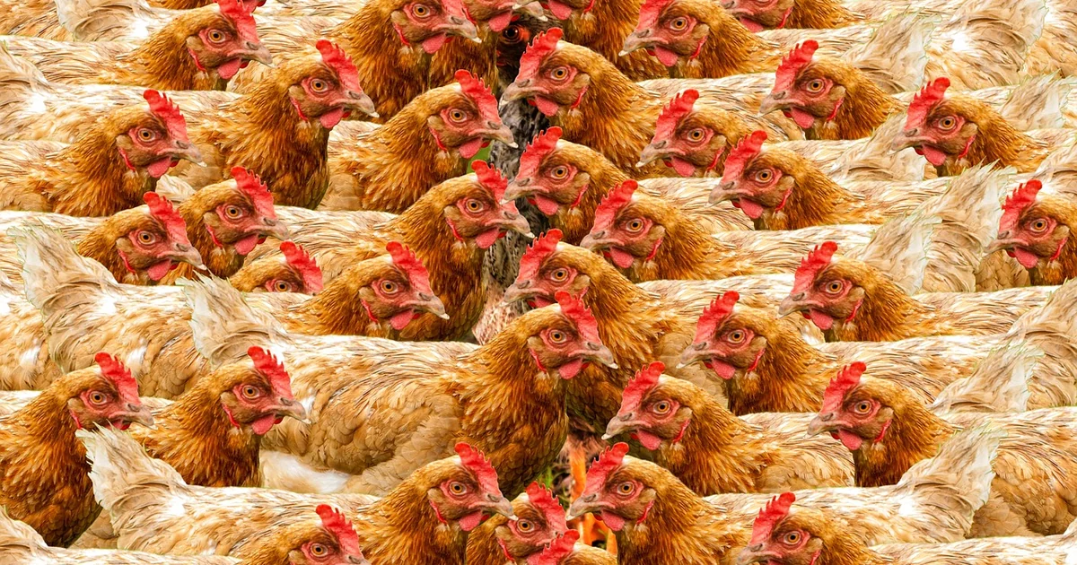 sodium-ion battery mass production