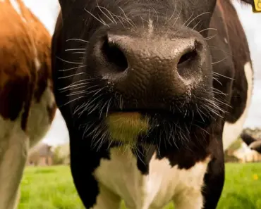 Save $150 Now: The Best Dyson Airwrap i.d. Deal