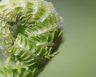 7 Proven Tips to Find Cheaper Airfare and Save Big