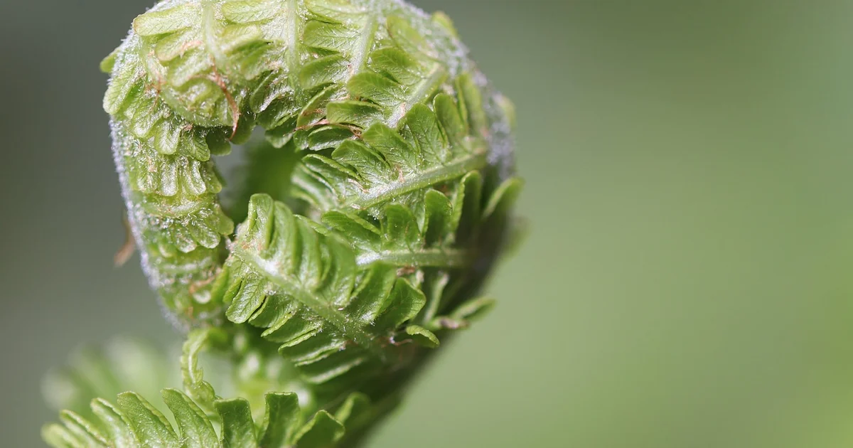 cheaper airfare tips