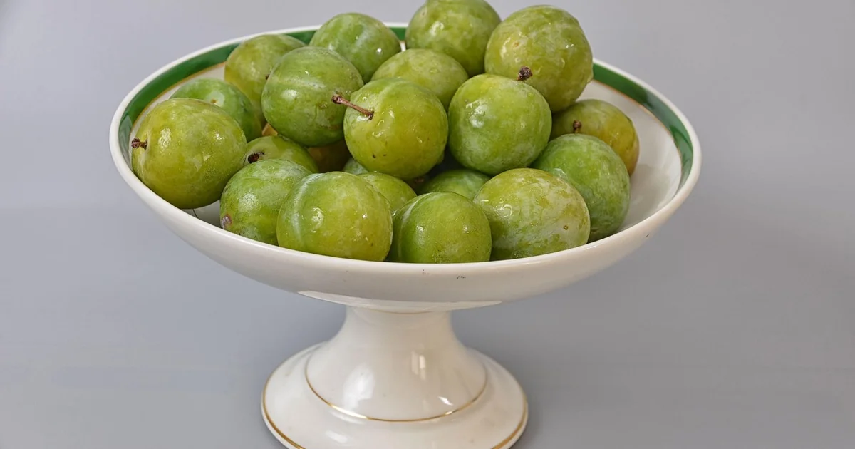 claude app integrations