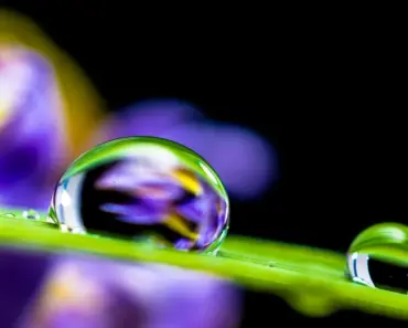 7 Ways Firestarter Malware Survives Cisco Firewall Updates