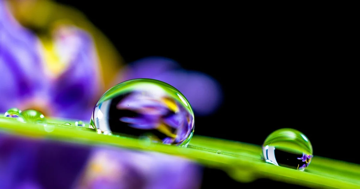 firestarter malware persistence