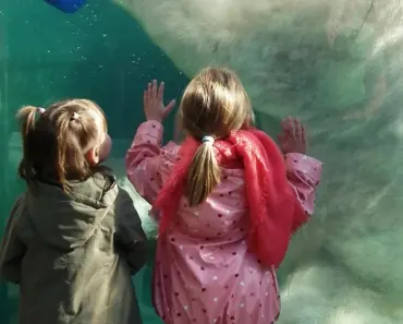 7 Ways of Beating Mental Comparisons in Cross-Domain Engineering