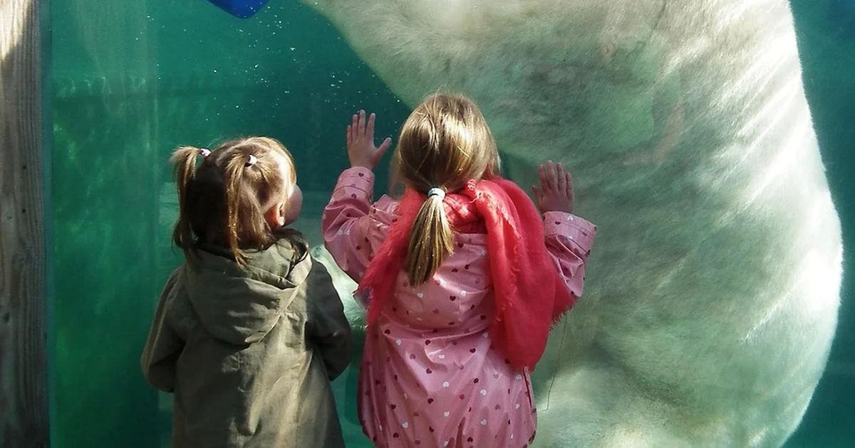 beating mental comparisons