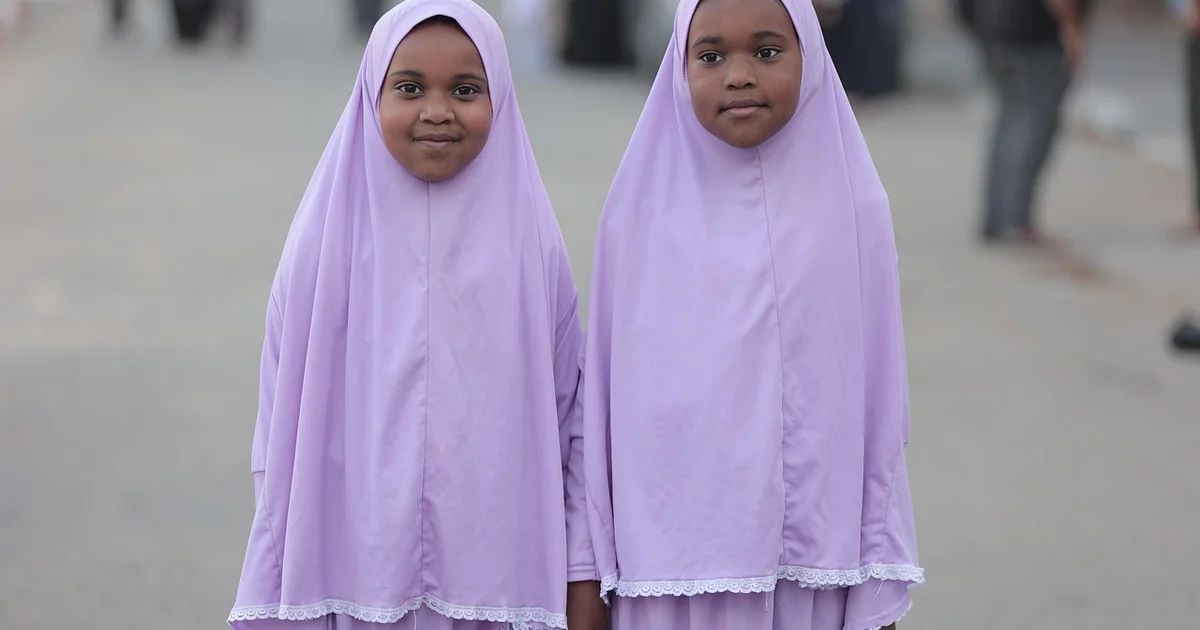 canva ai palestine issue