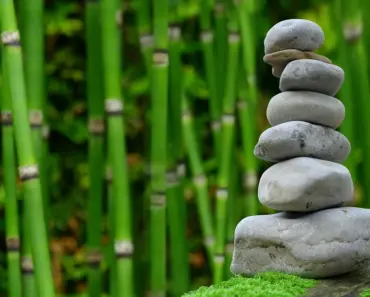 Google and AWS Split the AI Agent Stack: 5 Key Shifts