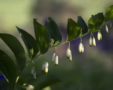 BYD Seal 08 Debuts With 1,000km Range Blade Battery 2.0