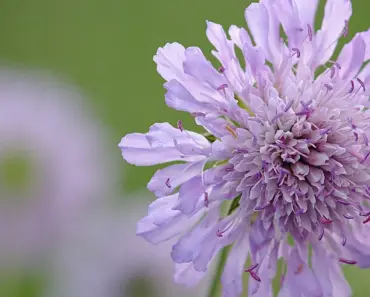 Apple’s Twisted New Comedy Hailed as Unlike Anything Else