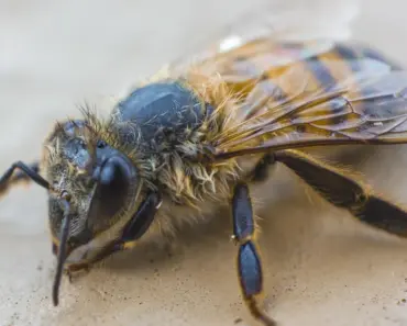 7 Ways to Master Automating the API Lifecycle