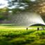 How To Know When It’s Time To Turn On Your Lawn Sprinklers This Spring