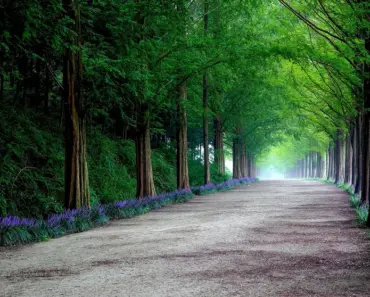 Meta Acquires Five Thinking Machines Lab Founders for $1.5 Billion