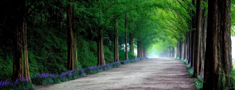 Meta Acquires Five Thinking Machines Lab Founders for $1.5 Billion