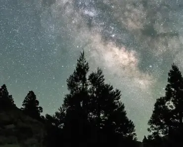 13 Ways to Unblock XNXX for Free Without Any Hassle