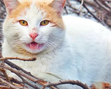 “11 Sneaky iPhone 18 Specs That Might Just Cost You a Performance Boost”