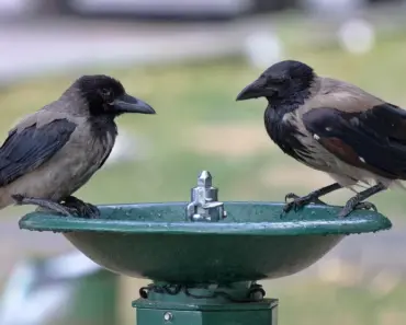 5 Surprising Things We Liked, and 3 Things We Didn’t, About Invincible Season 4