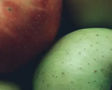 Apple Maps Gets a Thrill Ride with In-Depth F1 Experience for Miami Grand Prix