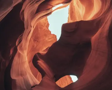 Americans Scramble to Get a Piece of the $166 Billion Pie as Tariff Refund Portal Opens