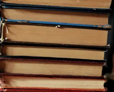 10 Bookish Gadgets and Tech Trends We Saw at BookCon 2026