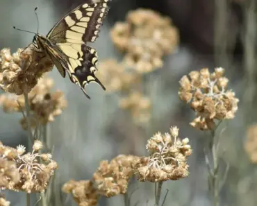 “7 Surprising Reasons Diamonds Get a Little Squishy at the Nanoscale”