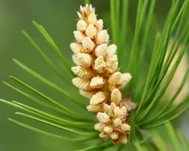 12 Jaw-Dropping Big Screen TV Deals: Samsung 77-Inch S90F OLED Slashed by Over $1,600