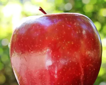 Is Apple discontinuing the cosmic orange iPhone color this year?