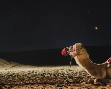 Galaxy Hunters Fuel Global GPU Crunch: 11 Ways AI’s GPU Appetite Is Changing the Game