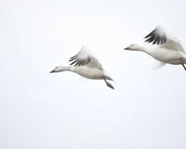 The Last Airbender’ Has Always Deserved Better Than This