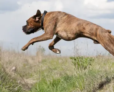 “13 Shocking Ways Google’s New Deep Research Max Agents Can Access Your Private Data”