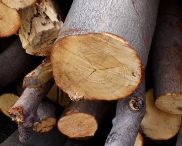 “7 Devastating Examples of How a Single Line of TF2 Code Ruined Simple Features Forever”