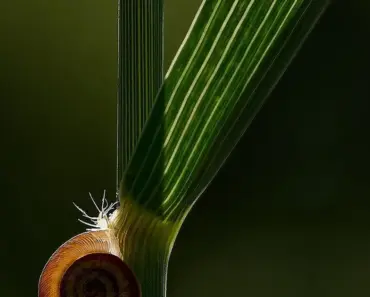 Ex-Stripe and Tide Engineers Pull Off €7.5M Fintech Funding Feat in 5 Key Moves