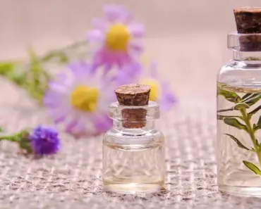 11 Essential Features of Google ADK for Java 1.0 You Need to Know