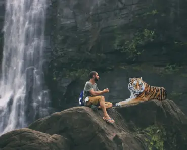 “11 Unlikely Ways AI Tools Help Mediocre North Korean Hackers Steal Millions”