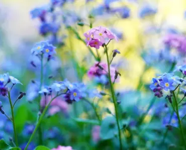 Forget Samsung Galaxy S26, Google Pixel 10 Pro Hits a Black Friday Low With No Trade-In Required