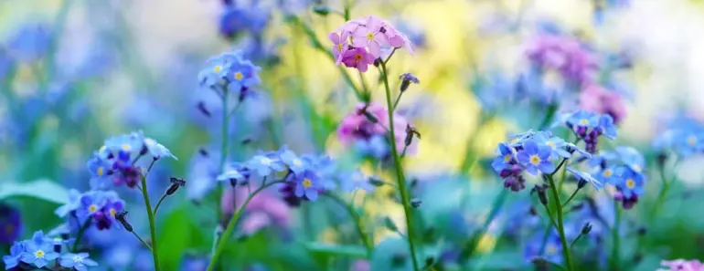 Forget Samsung Galaxy S26, Google Pixel 10 Pro Hits a Black Friday Low With No Trade-In Required