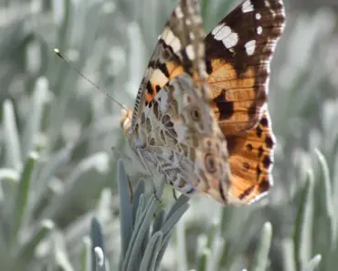 “7 Surprising Ways La-Z-Boy’s New Recliner Blasts Surround Sound at Your Butt”