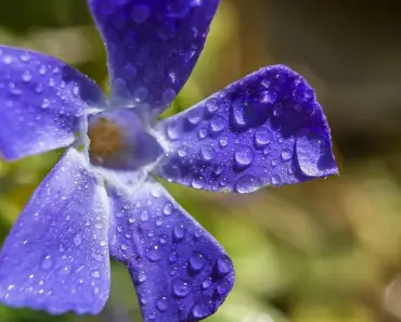 “11 macOS Threats Your Antivirus Can’t Catch: Mosyle’s Latest Security Alerts”