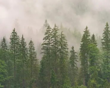 “11 Jaw-Dropping Moments Captured in the Astonishing iPhone Video of Earth Setting Behind…