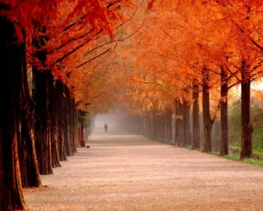 Goodbye, Llama? Meta launches new proprietary AI model Muse Spark – first since Superintelligence Labs’ formation