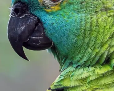 Amazon’s Price Fixing Scandal: Walmart, Levi’s, Home Depot Named in Shocking Lawsuit