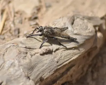 “5 Surprising Alternatives to YouTube for Unparalleled Focus Music”