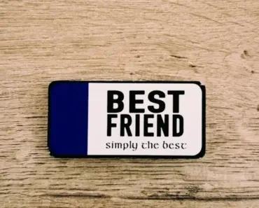 Best External Hard Drives: Top Picks for 2026