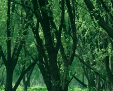 “A16Z-Backed News Brand Explosion: 9 Radical Ways to Dump Information into Your Brain”